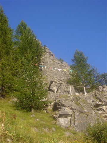 Griglia