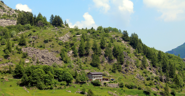 Vista